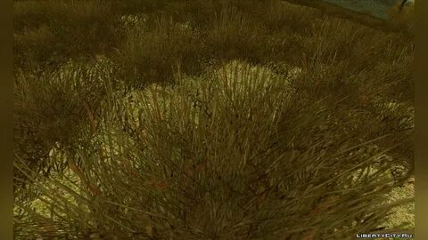 Plant series
