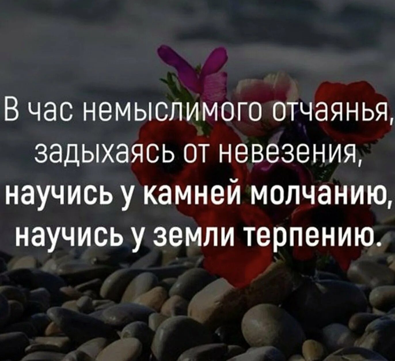 Как только земля терпит. Терпение цитаты. Статусы про терпение. Мудрые высказывания о терпении. Цитаты про терпение и выдержку.