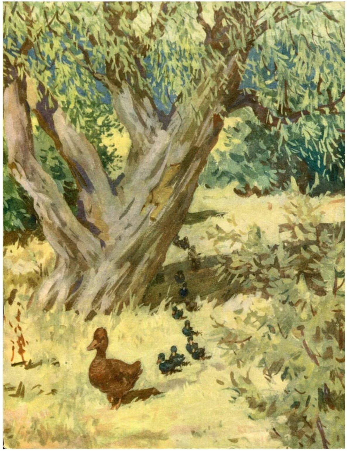 Пришвин м. "кладовая солнца". М. Иллюстрация к произведению пришвина осинкам холодно. 3 класс кладовая солнца пришвин.