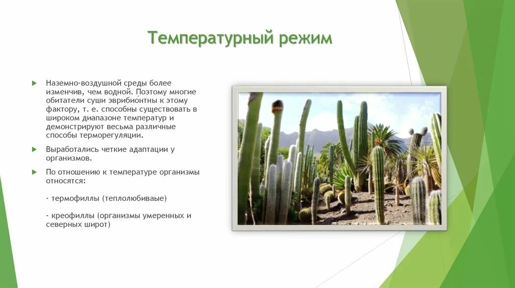 Почему температура воздуха в наземно воздушной. Температурный режим наземно-воздушной среды. тепловой режим наземно воздушной среды. организмы обитающие в наземно воздушной среде. условия наземно-воздушной среды жизни.
