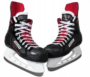 Bauer sr