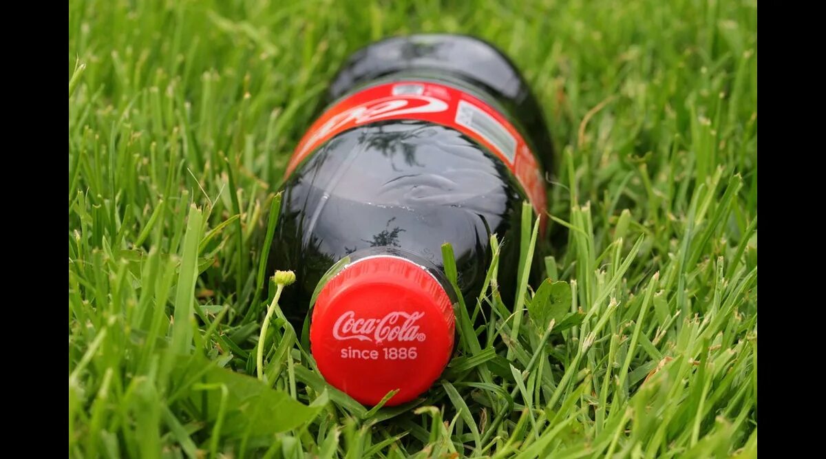 Coca-cola classic, 0. Оригинальная кола. Кола лесу. Кола лесу. Кока кола банка.