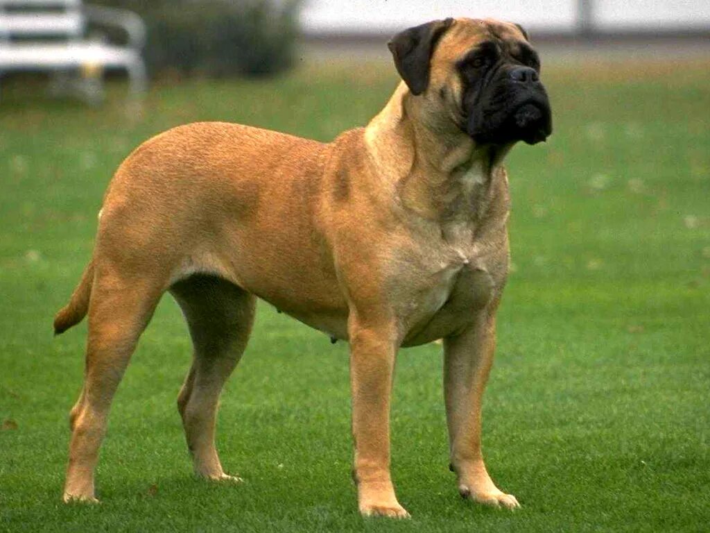 S8 футболист. месси штрафные удары. манчестер юнайтед линделеф. O shea футболист. игрок 8 букв.