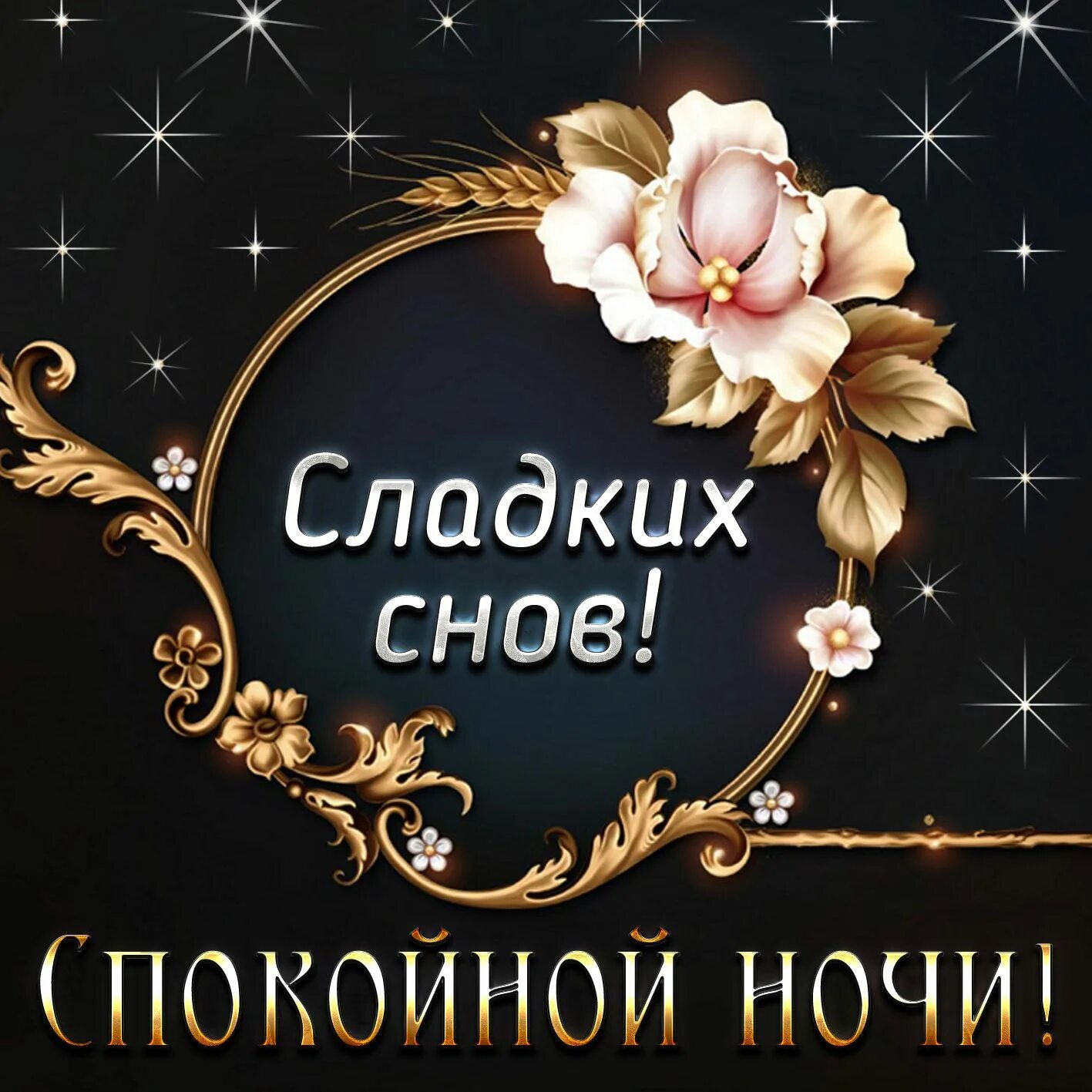 Спокойной ночи сладких снов картинки красивые