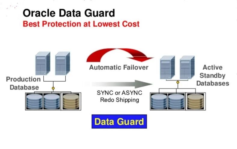 Oracle data Guard. Oracle ADG. Oracle Active data Guard что это. Oracle Standby database. База данных актив