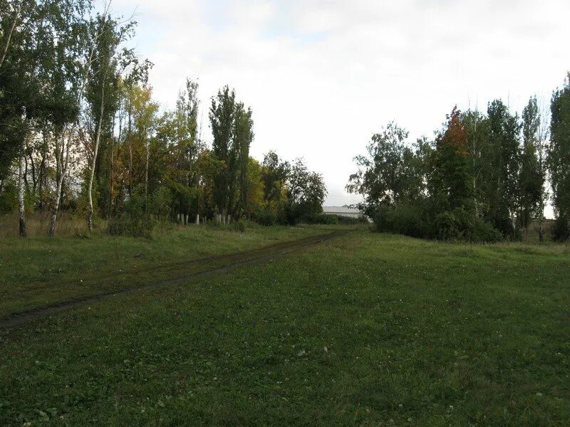 Лопуховка (село, Аткарский район). Станция Лопуховка. Станция Лопуховка Аткарский район. Село Лопуховка Аткарского района Саратовской области.