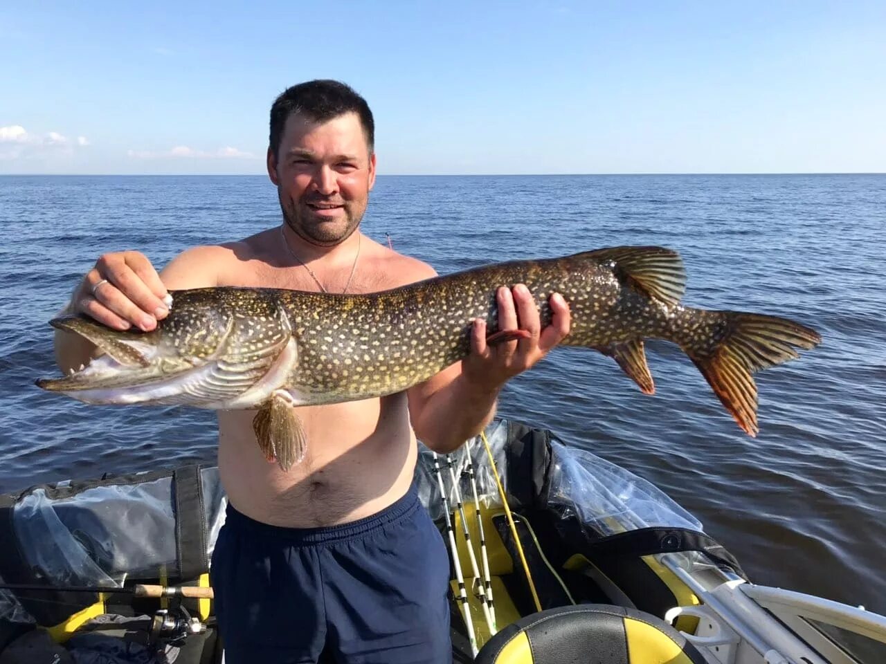 Рыбинская рыбалка 2024. Рыбинка Рыбинское водохранилище. Рыбалка в Брейтово Рыбинское водохранилище. Брейтово Рыбинское водохранилище. Рыбалка на Рыбинке.