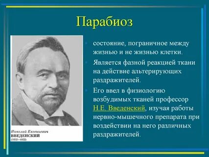 Е физиология