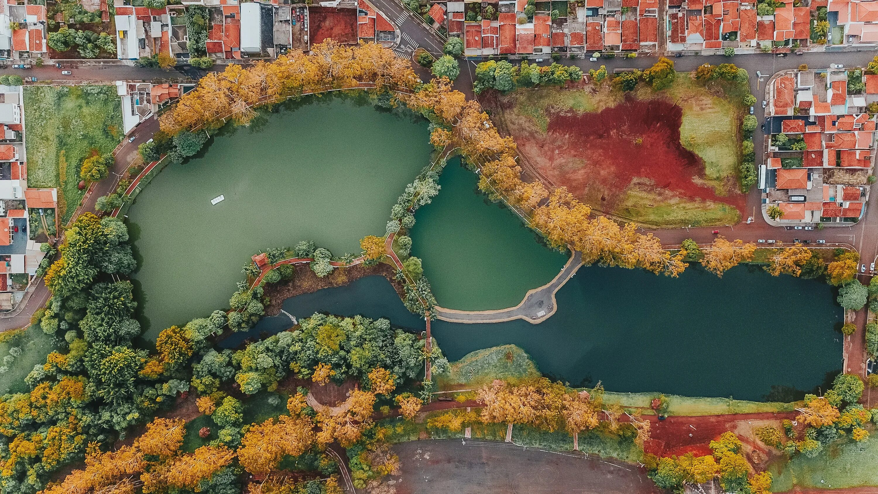 Bird s eye view