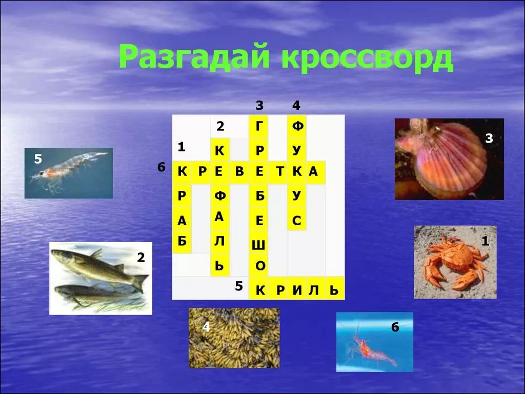 Сканворд 4 океана. Морской кроссворд. Кроссворд на тему рыбы. Кроссворд на тему море. Кроссворд на тему рыба и морепродукты.