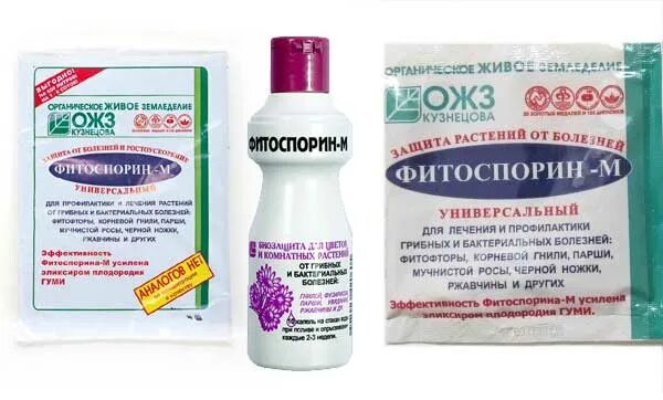 Фитоспорин для кустарников и деревьев. Фитоспорин формы выпуска. фитоспорин ас жидкий. фитоспорин-м. фитоспорин-м жидкий.