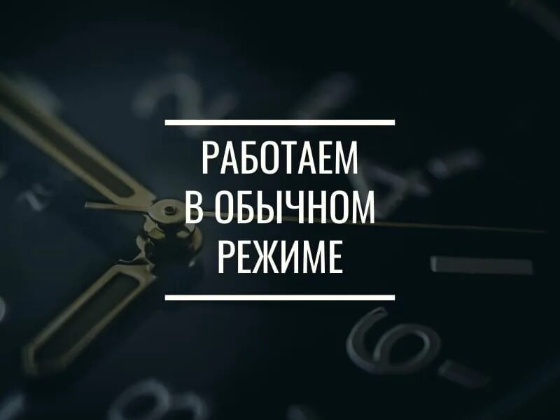 С завтрашнего дня все будет записываться. Работаем в обычном режиме. работаем в штатном режиме. мы работаем в штатном режиме. сегодня работаем в обычном режиме.