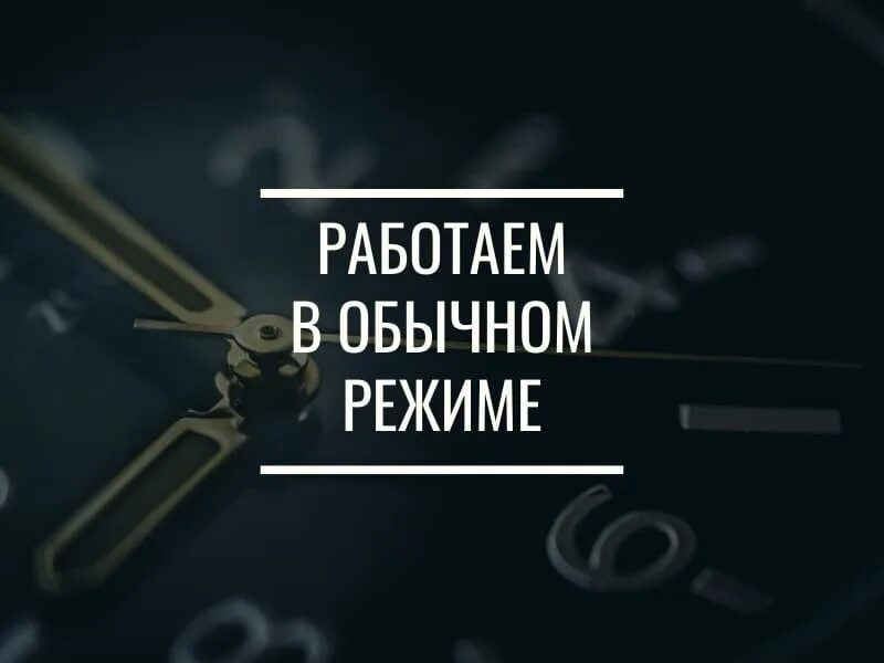 Включайся на слово. Работаем в обычном режиме. Работаем в штатном режиме. Мы работаем в штатном режиме. Сегодня работаем в обычном режиме.