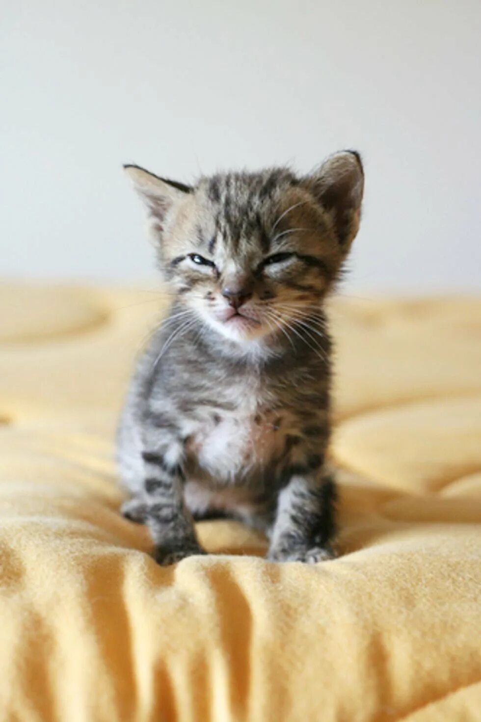 Заправишь почему и. Смешной график. Как вставить нижнюю нить в швейную машину. Заправишь почему и. Мемы про пододеяльник.