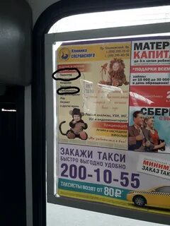 Сперанского на ульяновском красноярск телефон