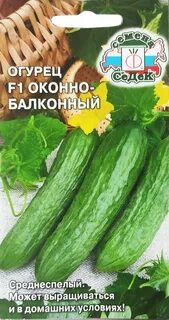 Семена огурец на балконе