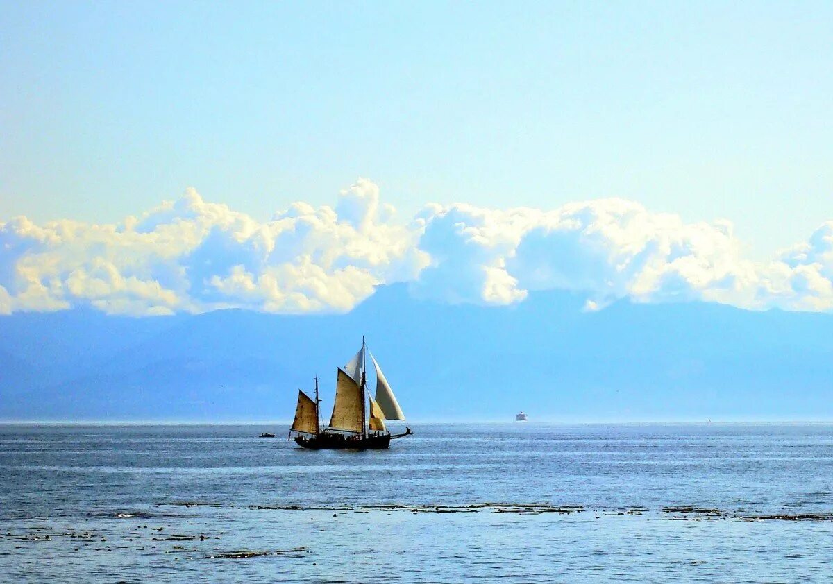 Корабль связан с морем. Корабль в море. корабль на горизонте. парусник в море. маленький корабль в море.