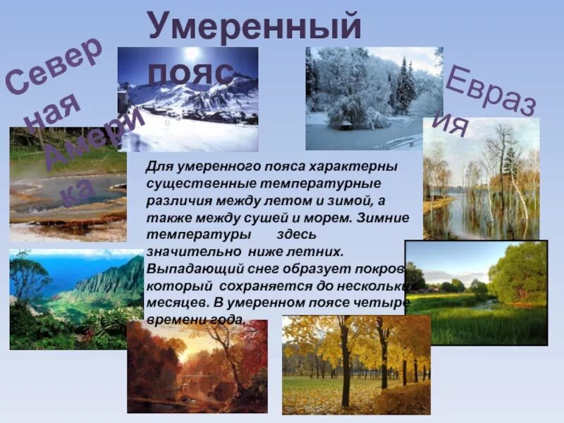 Особенности северного умеренного пояса. Умеренный пояс летом и зимой. Зима в умеренном поясе. Умеренный климат зима и лето. Зима и лето в умеренном поясе.