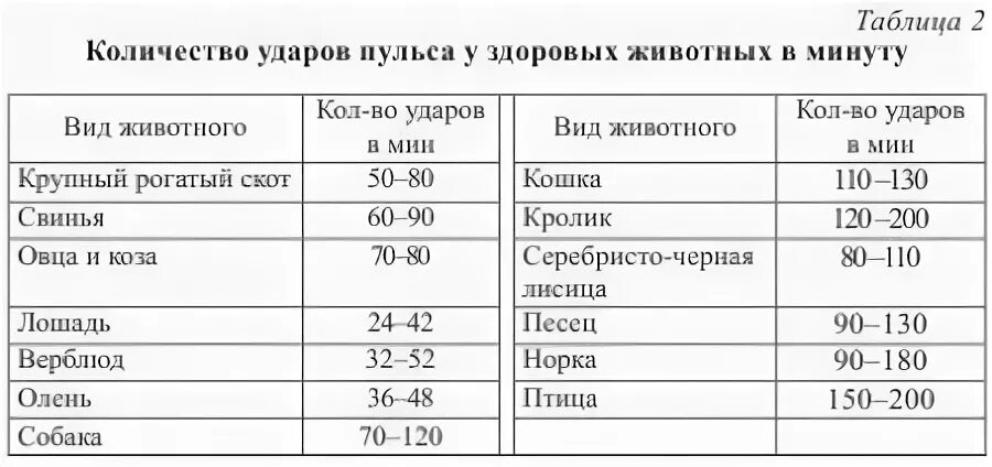 Количество ударов