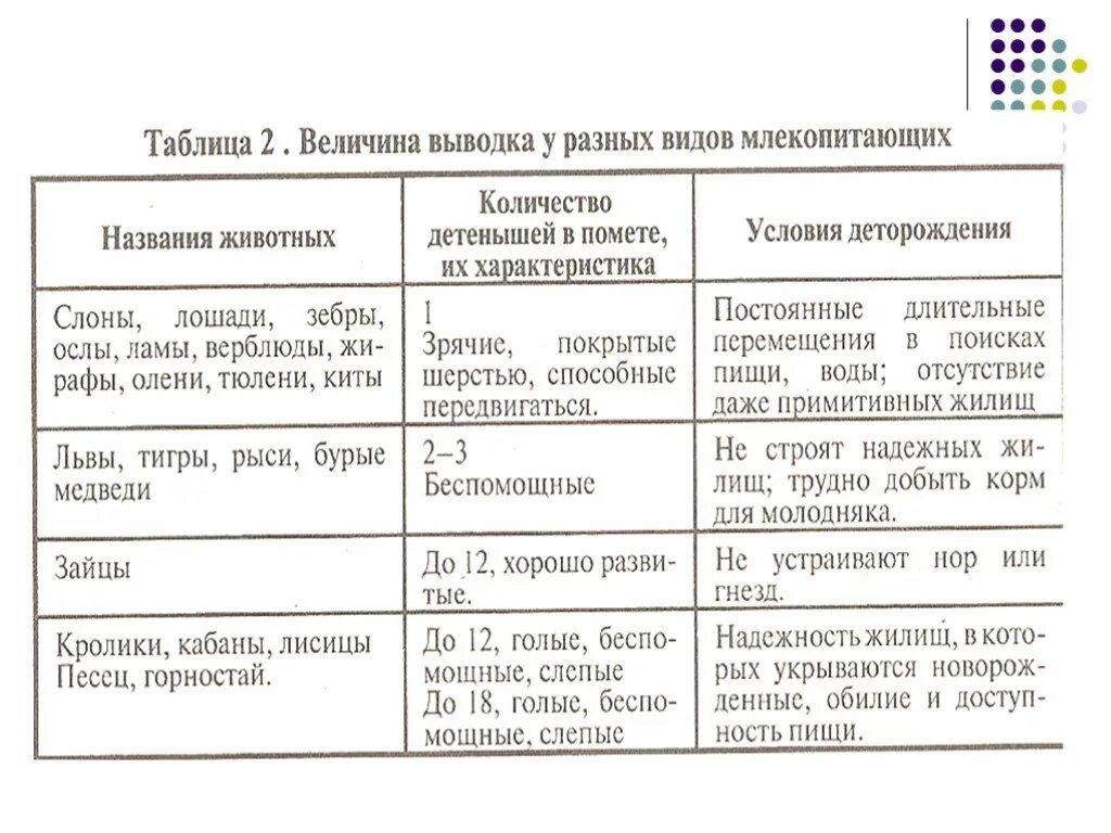 Презентация "Размножение и развитие млекопитающих" (7 класс) по биологии - скача