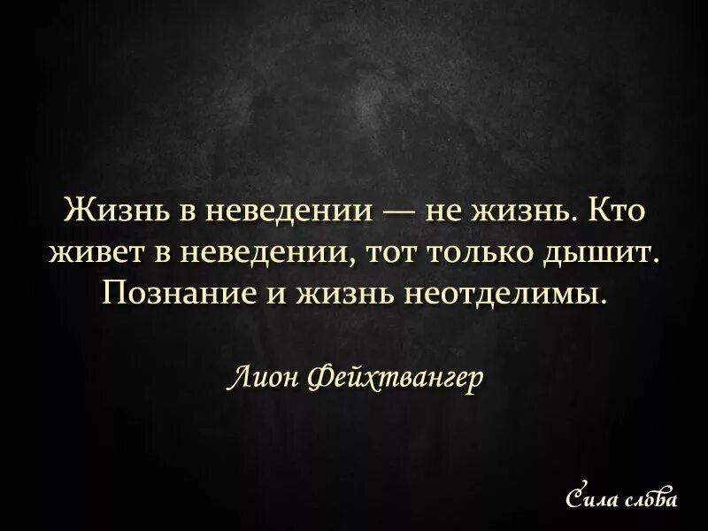 Ценности цитаты великих людей. Цитаты о ценности жизни. фразы о ценности жизни. афоризмы про ценности. высказывания о ценностях человека.