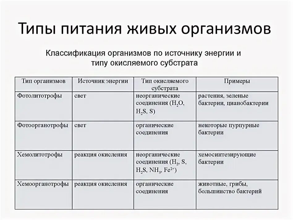 Процессы питания живых организмов