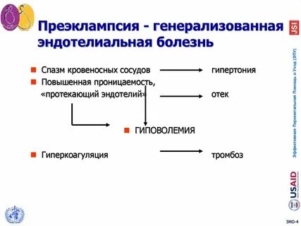 Патогенез преэклампсии