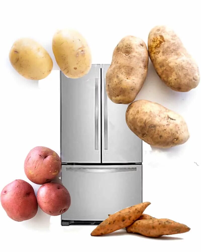Можно хранить картофель в холодильнике. Холодильник для картошки. Холодильник для хранения картошки. Картошка из холодильника. Домашняя картошка реклама.