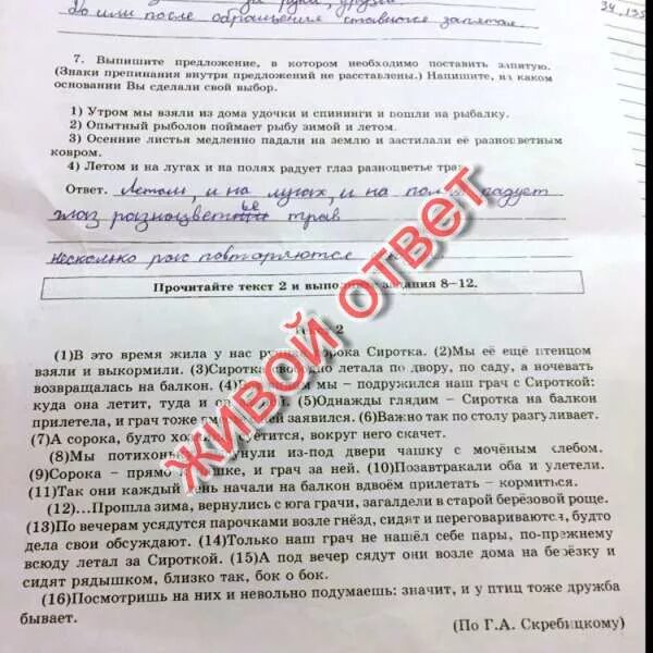 Спишите предложения расставляя пропущенные знаки препинания. Старый охотник очень любил музыку впр. Определить и записать основную мысль текста. Впр по русскому. Текст впр 7 класс.