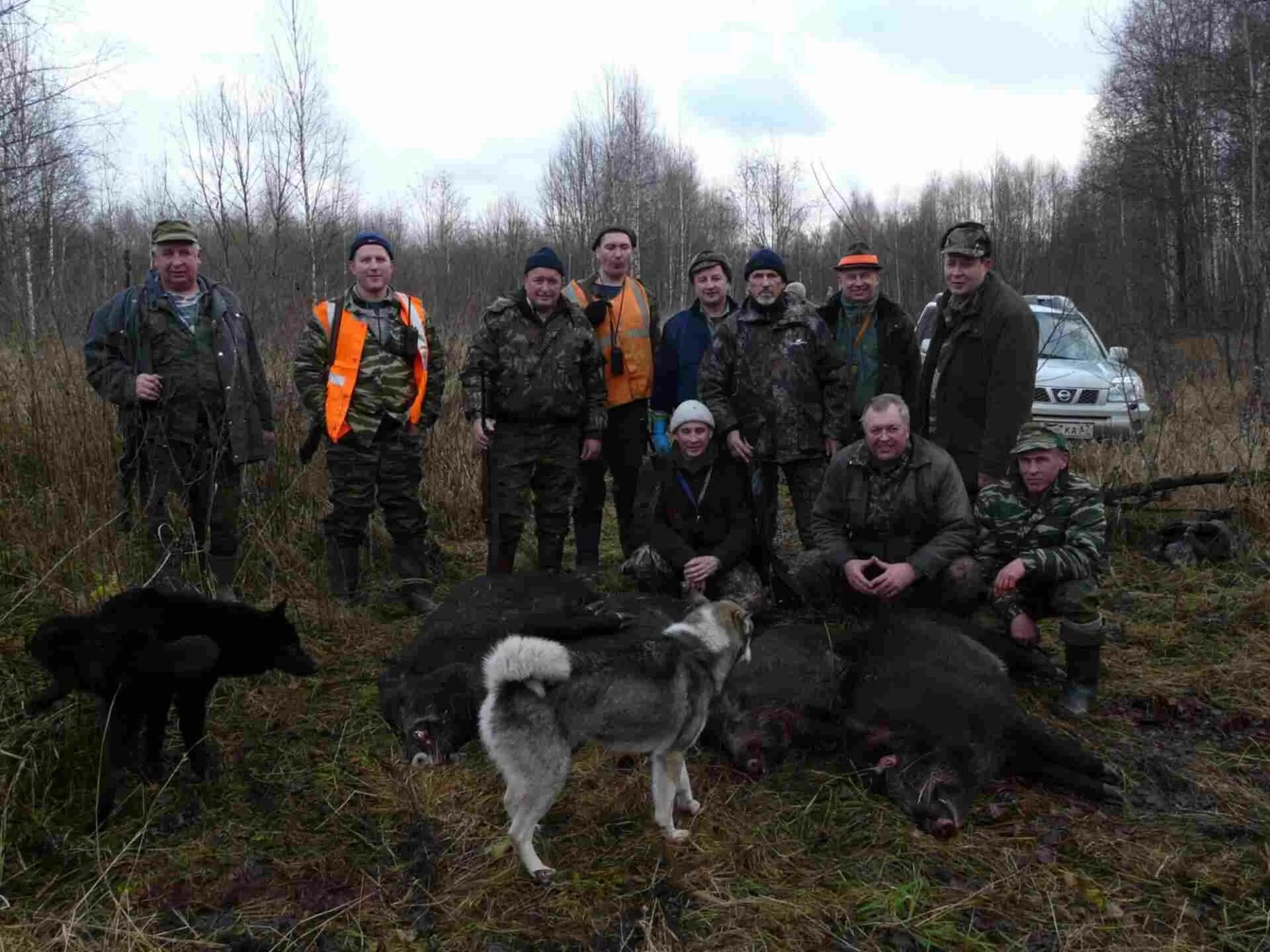 Заболотское охотхозяйство рыбинск. Охотхозяйство смоленской. Охотхозяйство лось переславский район. Охотхозяйство тайга смоленская область сычевский. Охотхозяйство касплянское.