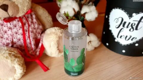 Yadah cactus