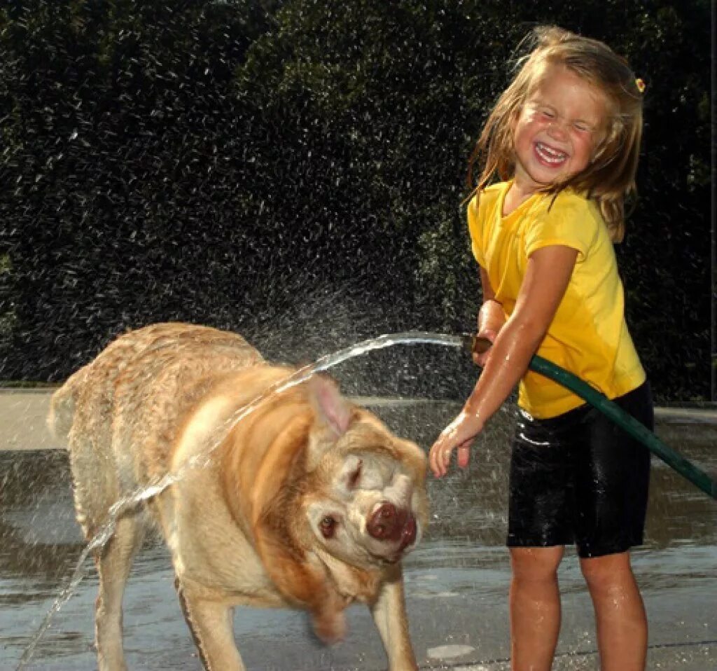 Просто живите и радуйтесь жизни. Радоваться жизни. Разучился радоваться. Разучился радоваться. А радоваться жизни ты умеешь обрадуйся а то.