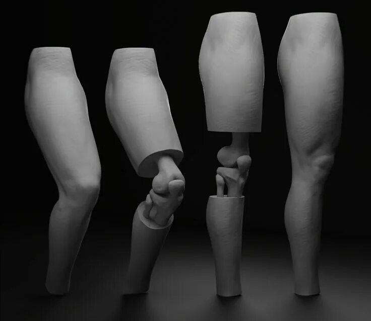 Leg reference