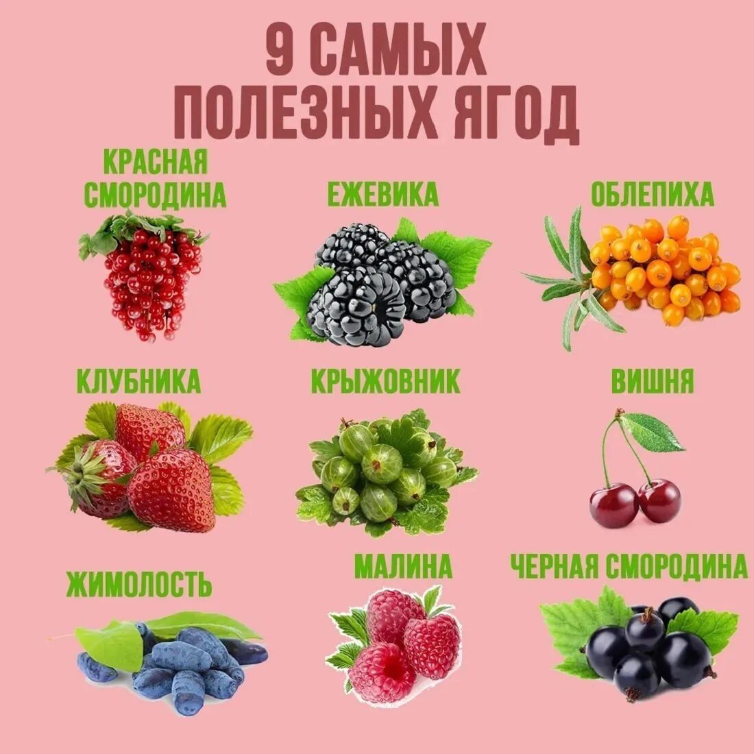 Клюква для чего полезна. Полезные ягоды для здоровья. Какая ягода полезна для зрения. Какая самая полезная ягода. Полезные ягоды для здоровья.