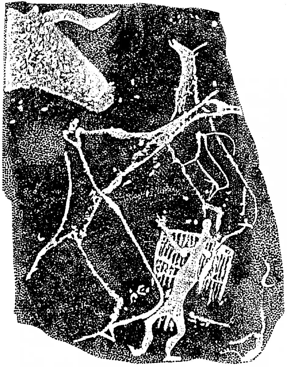Петроглифы урочища калбак-таш. Петроглифы калбак таша. Петроглифы калбак таша. Яломанское городище горный алтай. Урочище калбак-таш горный алтай.