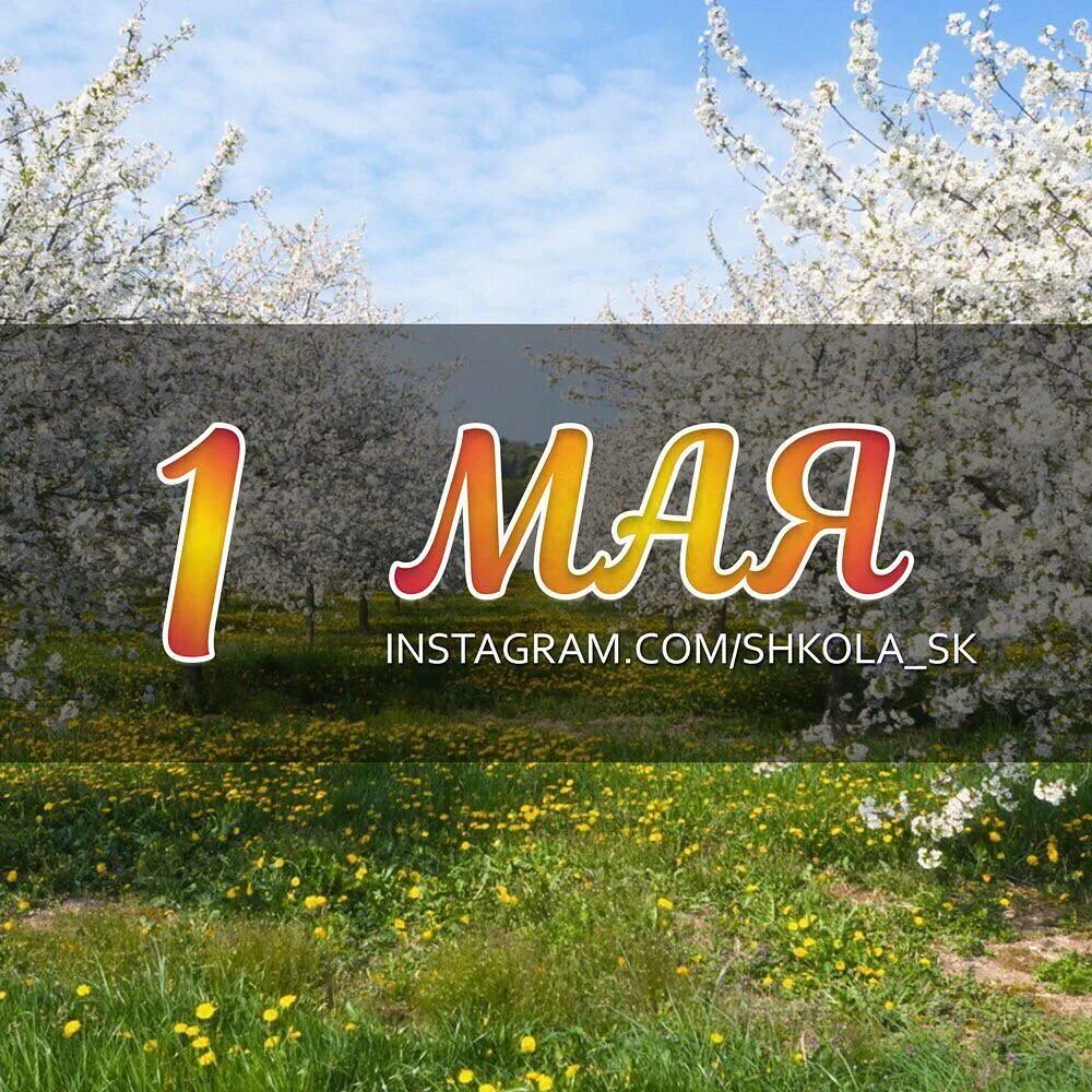 17 энергия дня