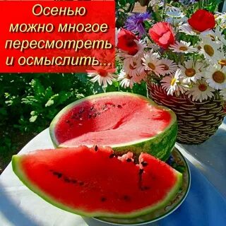 Открытки с добрым утром с арбузом