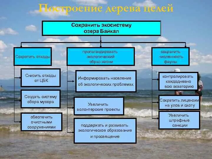 Сохрани экосистему