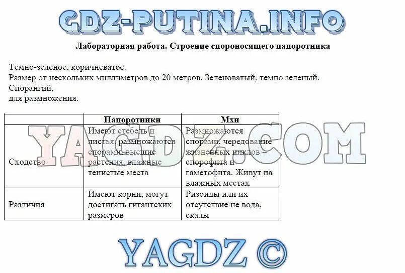 Ответы лабораторная работа по биологии 8. Таблица к лабораторной работе 6 класс биология. Лабораторная работа по биологии. Практическая работа по биологии. Биология 5 класс лабораторная работа.