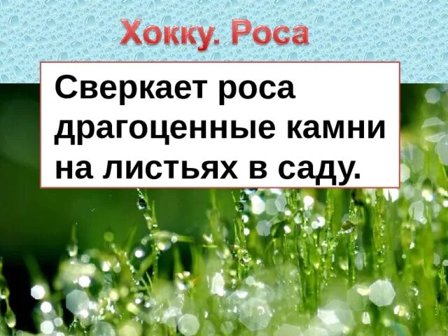 Какая бывает роса на траве. Л толстой какая бывает роса на траве. Какая бывает роса на траве рисунок. Конспект урока какая бывает роса на траве. Почему выпала роса