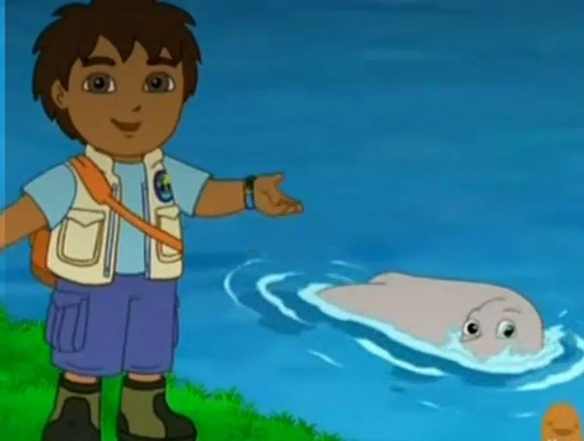 Nick jr go diego go