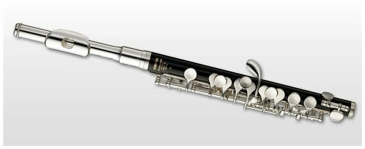 Флейта инструмент фото. Hohner флейта b9565. Духовые инструменты флейта. Серебряная флейта. Поперечная флейта музыкальный инструмент.