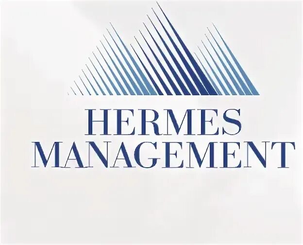 Гермес менеджмент. Компания Гермес. Hermes Company Colors.