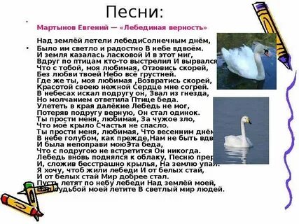 Стихи песни лебеди