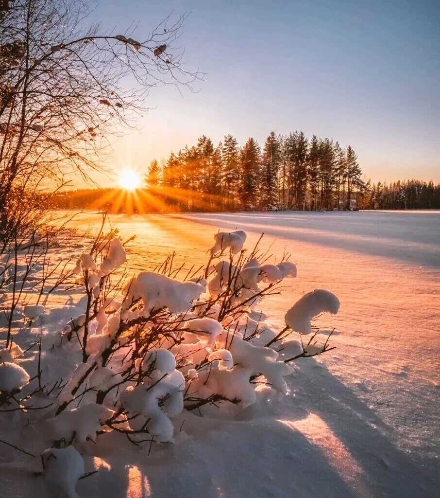 Утро природа февраль. Зимний рассвет. Рассвет зимой. Утро зима. Морозное солнечное утро.