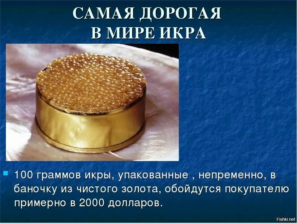 Цена самой дорогой икры. Самая дорогая икра. Самая дорогая Икар в мире. Золотая икра. Сампясамая дорогая икра в мире.