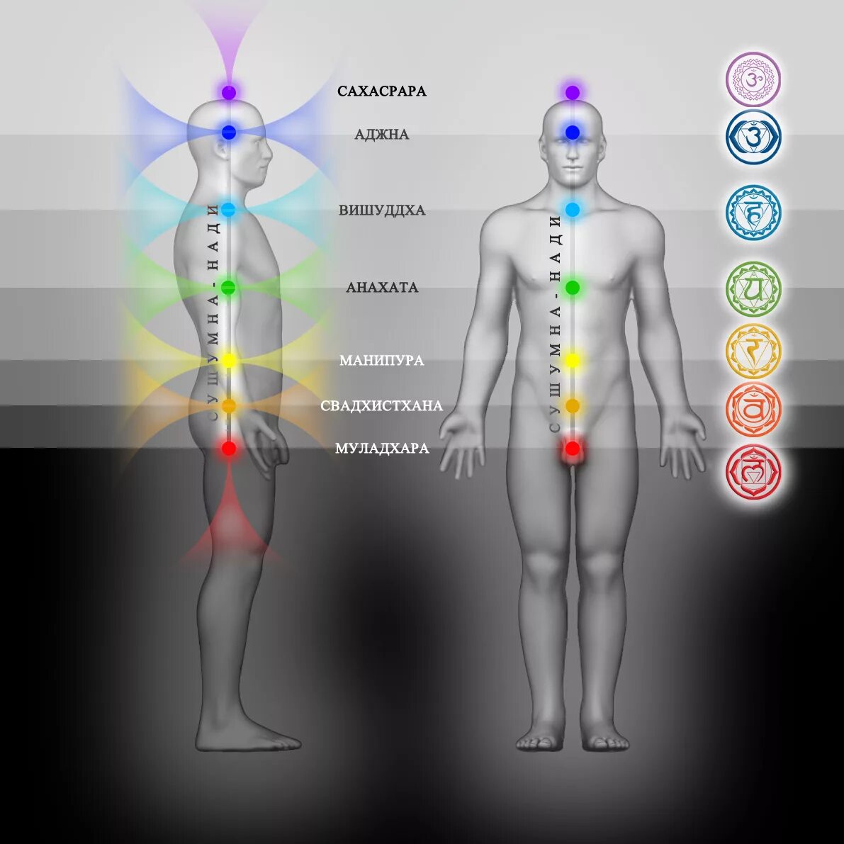 сдвиг точки сборки. виджняна-бхайрава-тантра. чакры и точка сборки. квантовая реальность. энергетический кокон точка сборки.