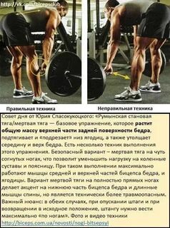 Отличие становой от румынской