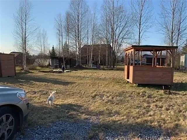 Снт фазенда. Снт рубеж тосненский район грибы.