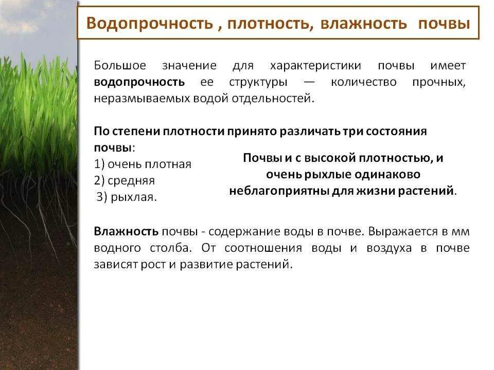 Плодородие зависит от содержания. Водопрочность почвы. Влажность почвы. Что такое водопрочная структура. Водопрочная структура почвы.